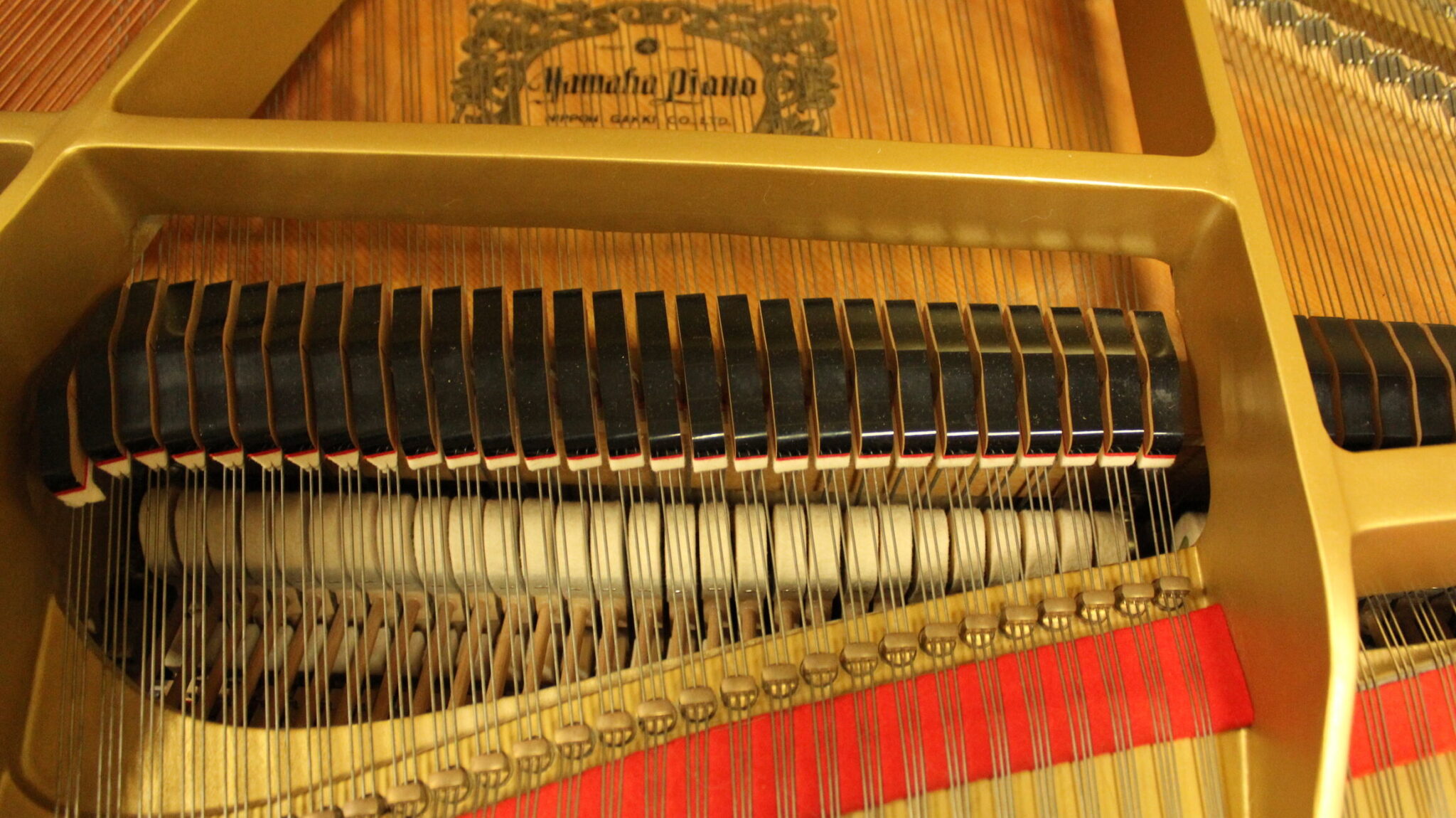 Buy Yamaha Grand Piano In Rockaway Nj B Natural Pianos