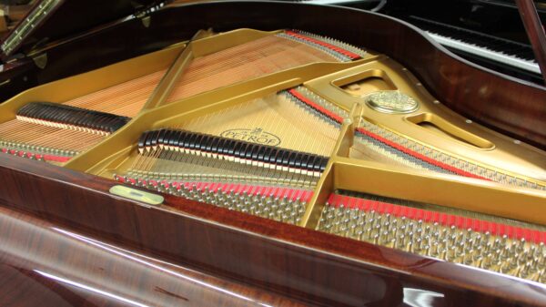 Petrof 5' 3" Grand Piano Model V Traditional Mahogany Polish 5 Year Guarantee - Parts & Labor