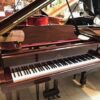 J.S. Hamburg Grand Piano - Image 7