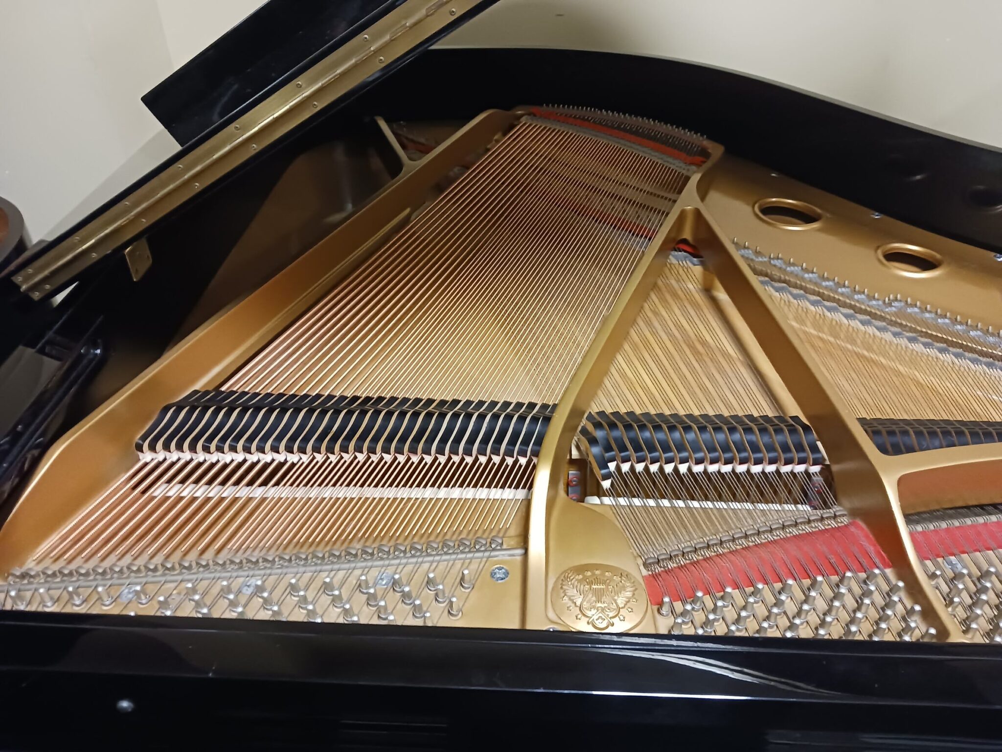 Altenburg 5’2” Grand Piano - B Natural Pianos