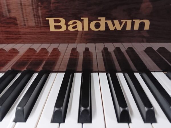 New Baldwin 4’ 10” Baby Grand Piano - Image 14