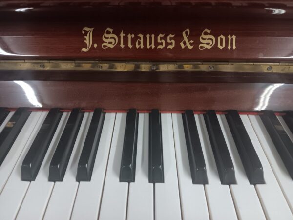 J. Strauss & Son 48" Professional Upright Piano - Image 10