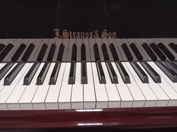 J. Strauss & Son 4’ 8” Baby Grand Piano - Image 16