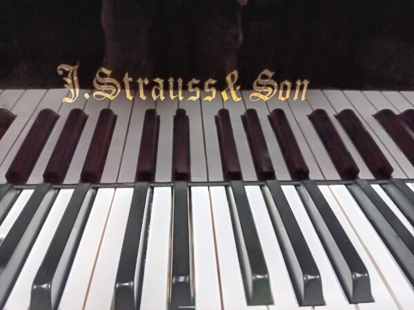 J. Strauss & Son 4’ 8” Baby Grand Piano - Image 15