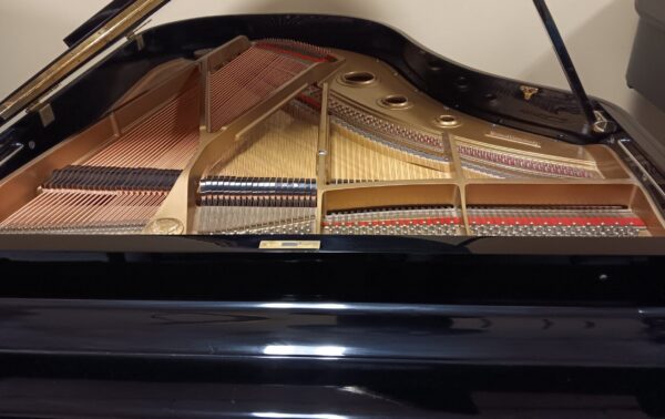 Otto Altenburg 5’ 10” Baby Grand Piano - Image 13