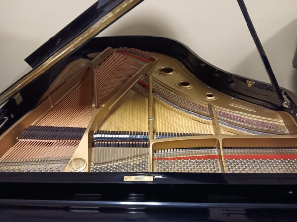 Otto Altenburg 5’ 10” Baby Grand Piano - Image 14