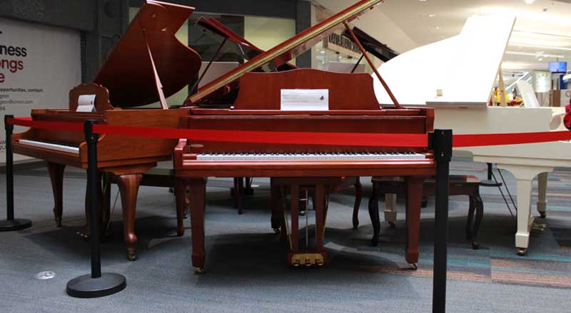 brown and white grand pianos for sale in piano showroom