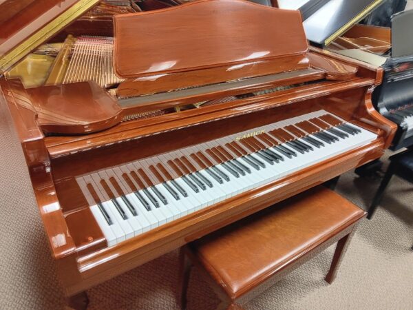 Samick 5' 0" Baby Grand Piano - Image 2