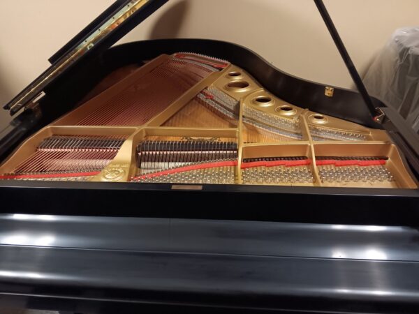 Yamaha 6’1” Conservatory Grand Piano - Image 12