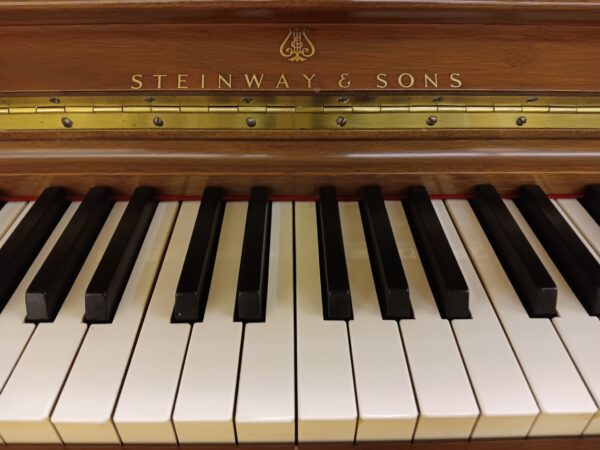 Steinway 45” Studio Upright Piano - Image 4