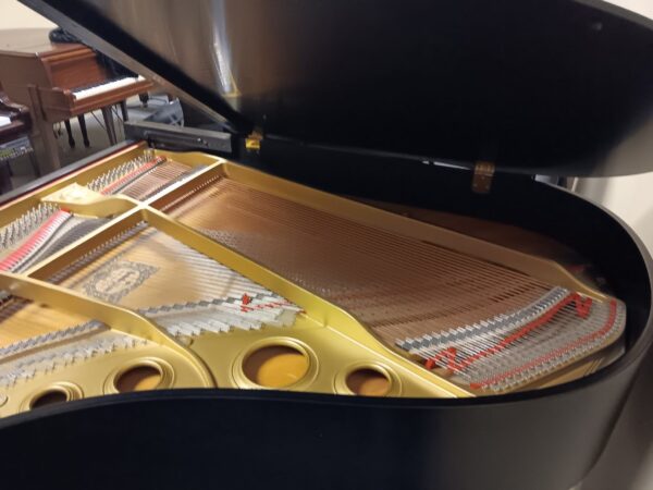 Yamaha 6’1” Conservatory Grand Piano - Image 14