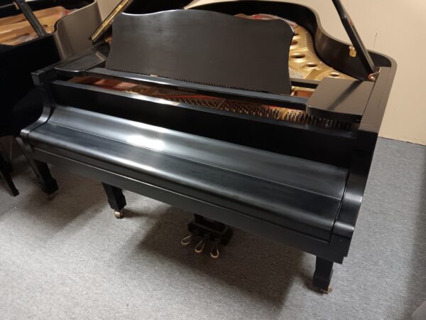 Yamaha 6’1” Conservatory Grand Piano - Image 8