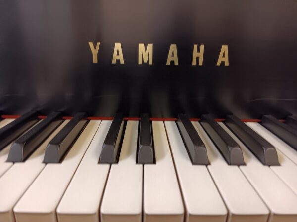 Yamaha Model C7 - 7’4” Conservatory Grand Piano - Image 14