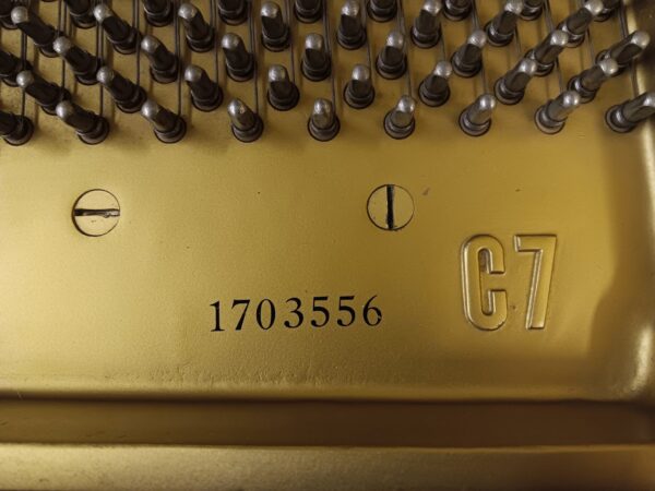 Yamaha Model C7 - 7’4” Conservatory Grand Piano - Image 7