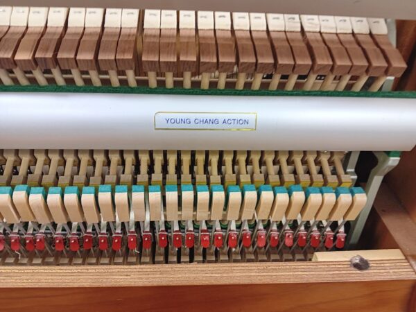 Young Chang 48" Professional Upright - Image 4