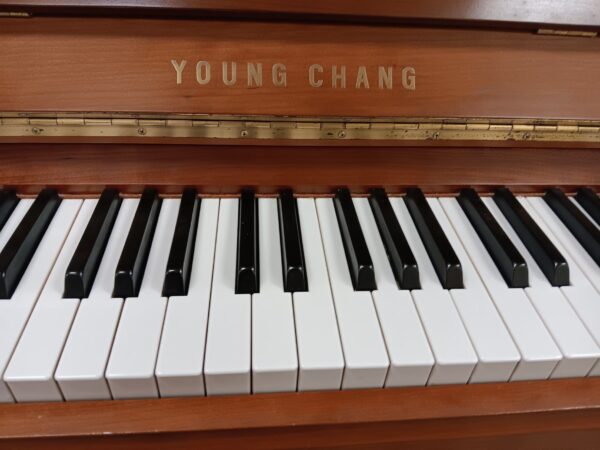 Young Chang 48" Professional Upright - Image 12