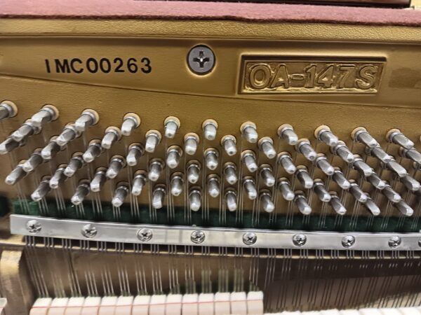 Altenburg 47” Pro Upright Piano - Image 5