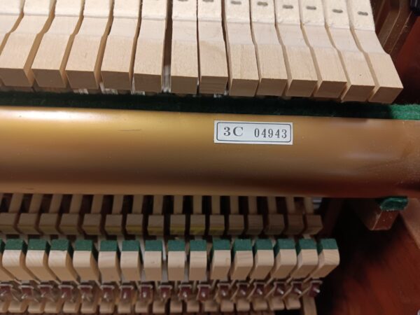 Altenburg 47” Pro Upright Piano - Image 3