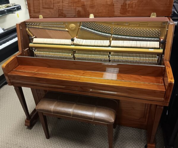 Altenburg 47” Pro Upright Piano - Image 2