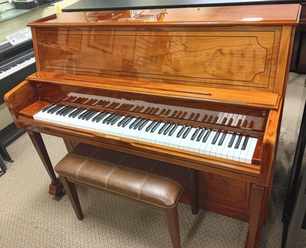 Altenburg 47” Pro Upright Piano - Image 12