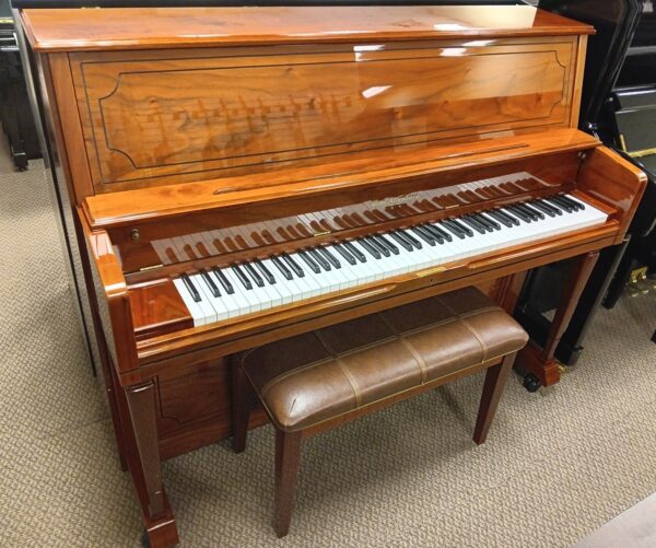 Altenburg 47” Pro Upright Piano - Image 11