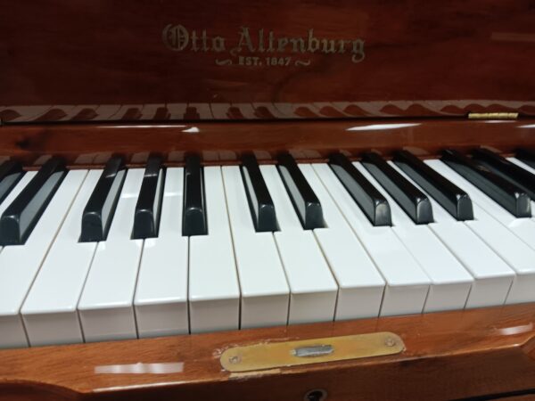 Altenburg 47” Pro Upright Piano - Image 10