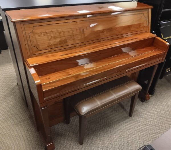 Altenburg 47” Pro Upright Piano - Image 9