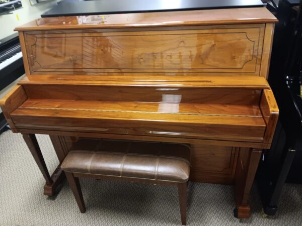 Altenburg 47” Pro Upright Piano - Image 8