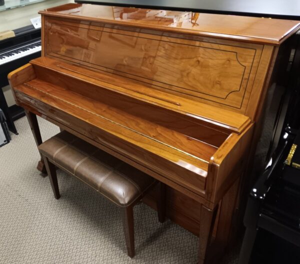 Altenburg 47” Pro Upright Piano - Image 7