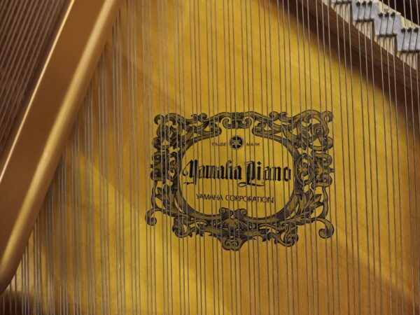 Used Yamaha Model C2 - 5’8” Conservatory Grand Piano - Image 5