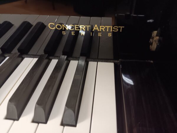 Wm. Knabe and Company 5’ 4” Baby Grand Piano - Image 10