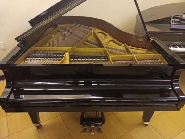 Pleyel 5’ 6” Baby Grand Piano - Image 4