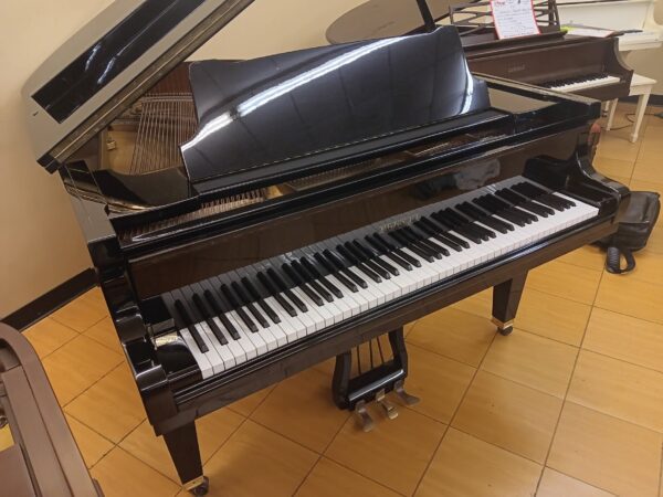 Pleyel 5’ 6” Baby Grand Piano - Image 10