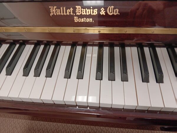 Hallet, Davis & Co. 47” Pro Upright Piano - Image 5