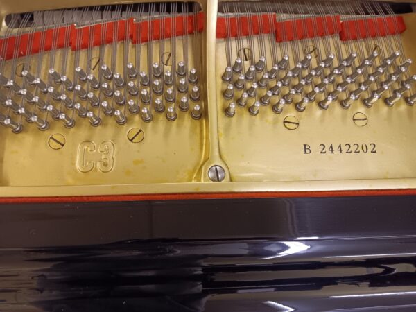 Yamaha 6’ 1” Conservatory Grand Piano - Image 13