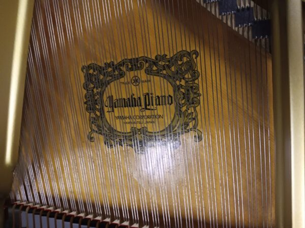 Yamaha 6’ 1” Conservatory Grand Piano - Model C3 - Image 15
