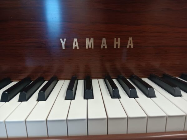 Yamaha 6’ 1” Conservatory Grand Piano - Model C3 - Image 4