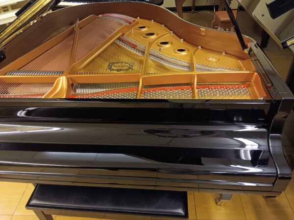 Yamaha 5’ 3” Conservatory Baby Grand Piano - Image 11