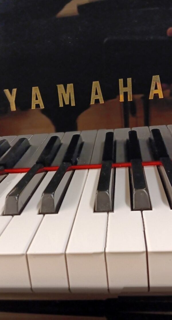 Yamaha 5’ 3” Conservatory Baby Grand Piano - Image 4
