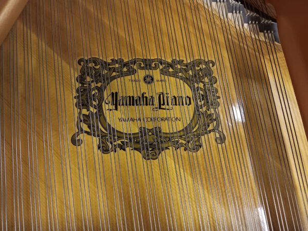 Yamaha 5’ 3” Conservatory Baby Grand Piano - Image 6