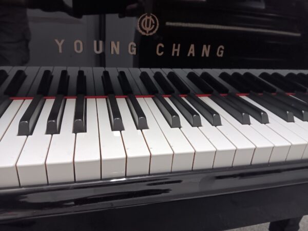 Young Chang 5’ 0” Baby Grand Piano - Image 7