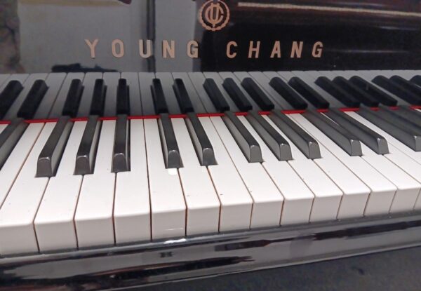 Young Chang 5’ 0” Baby Grand Piano - Image 23