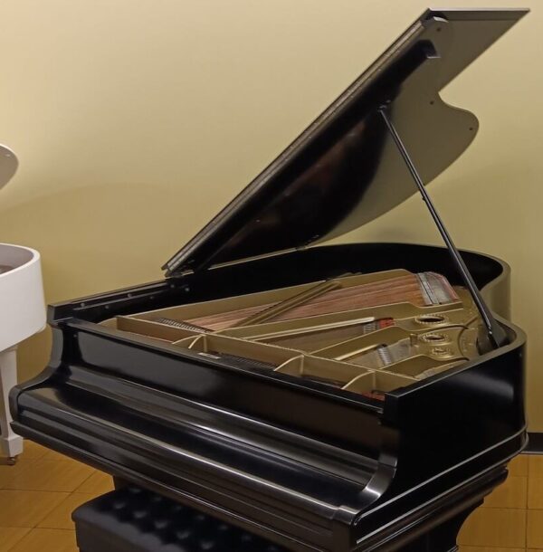 Mason & Hamlin 5’ 8” Grand Piano - Image 2