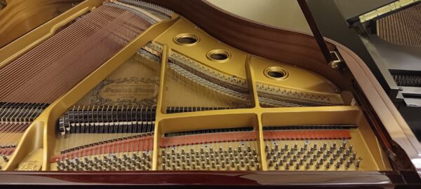 Samick Grand Piano - Image 4
