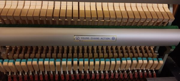 Young Chang 48" Professional Upright - Image 4