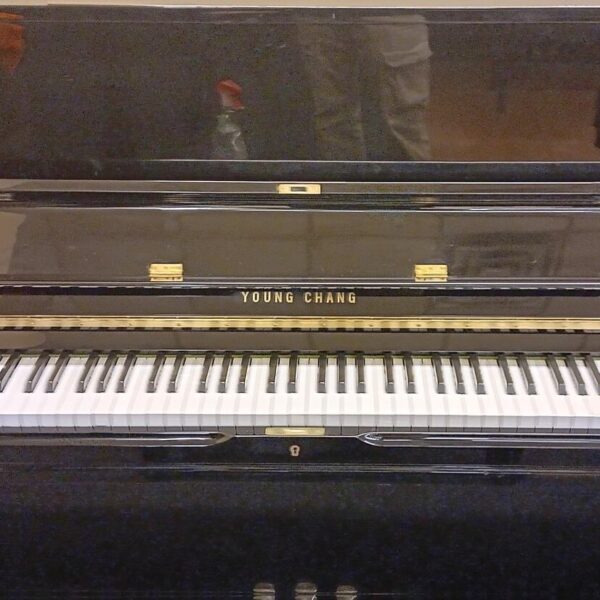 Young Chang 48" Professional Upright