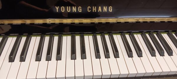 Young Chang 48" Professional Upright - Image 11