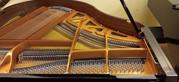 Hallet, Davis & Co. 5’ 2” Grand Piano - Image 16