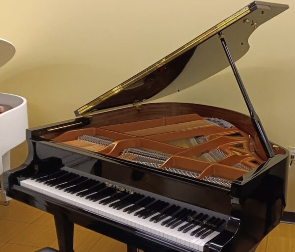 Hallet, Davis & Co. 5’ 2” Grand Piano - Image 19