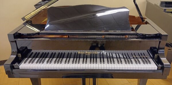 Hallet, Davis & Co. 5’ 2” Grand Piano